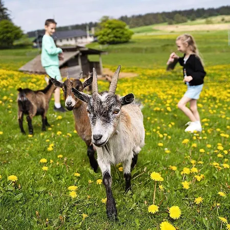 6 Person In Hanstholm- Type1 Casa de Férias Hanstholm